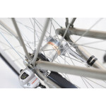 Mestský bicykel 28" Lavida Mahbike s nízkym nástupom hliníkový rám: 18" Strieborná